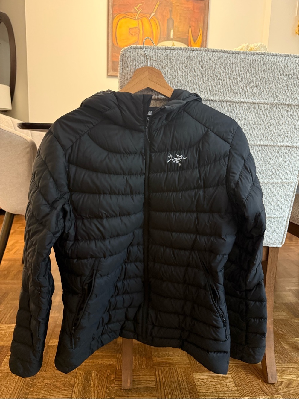 Arc'teryx Black Hooded Puffer Coat